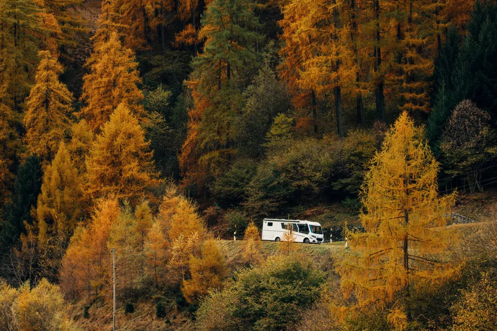Ein weißes Wohnmobil fährt durch einen herbstlichen Wald mit orangefarbenen Bäumen.