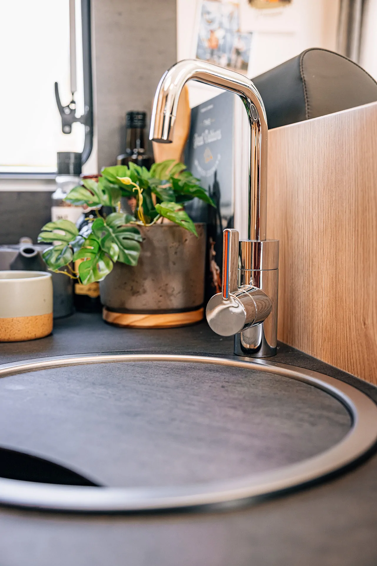 Eine moderne Küchenarmatur mit einer Pflanze im Hintergrund.