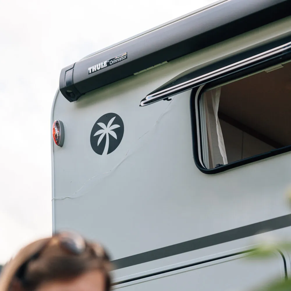 Ausschnitt eines Wohnmobils mit einem geöffneten Fenster und einem Palmenaufkleber.