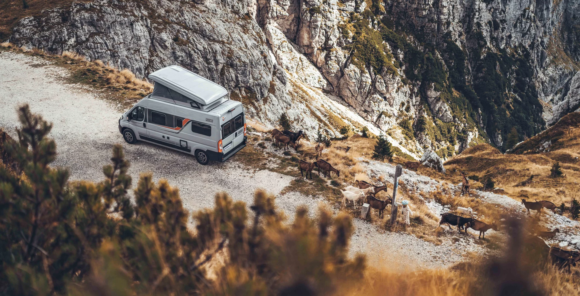 Ein Bürstner Campeo C600 Camper steht auf einem Bergweg neben einer Gruppe von Ziegen.