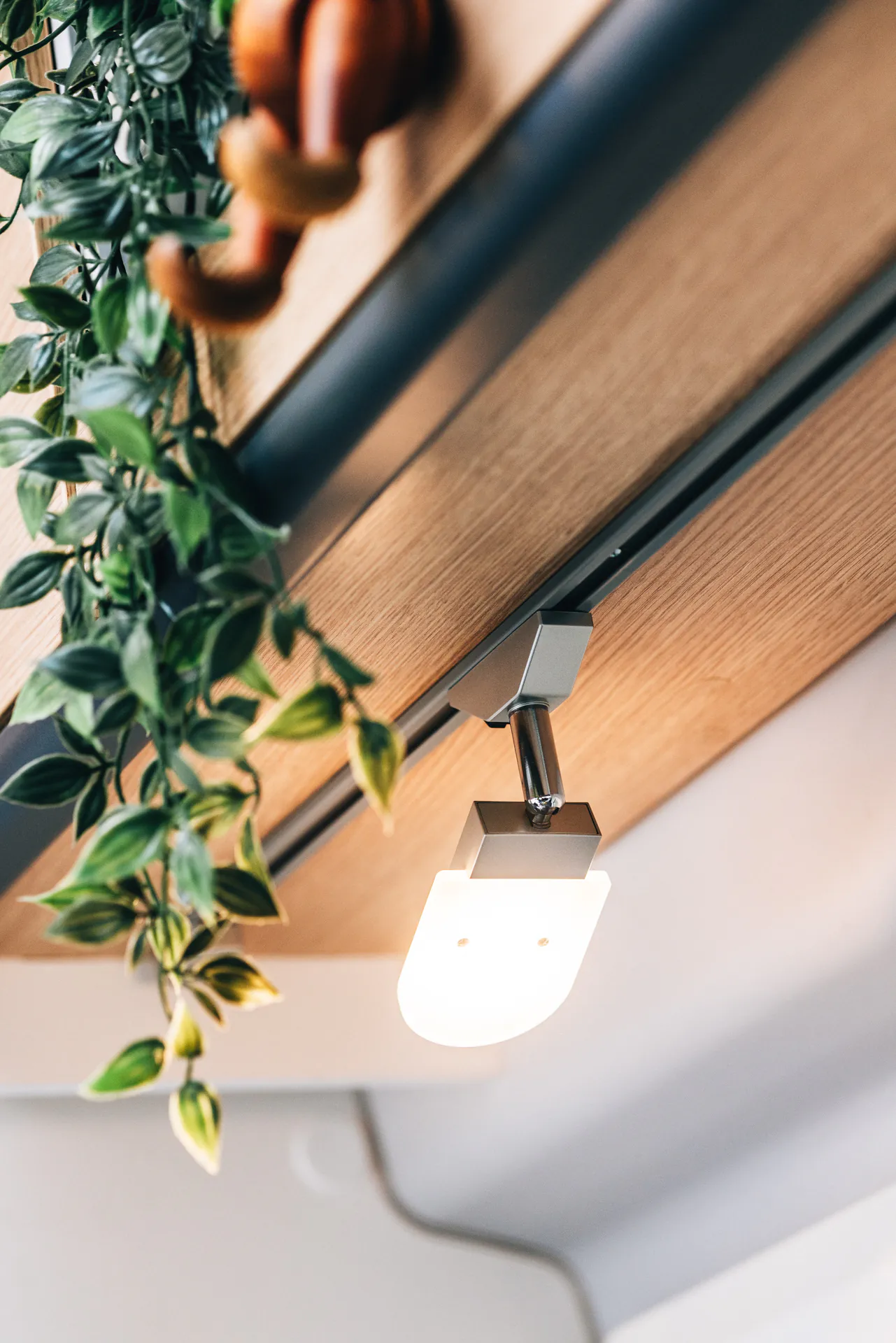 Deckenlampe in einem Wohnmobil mit hängender Pflanze.